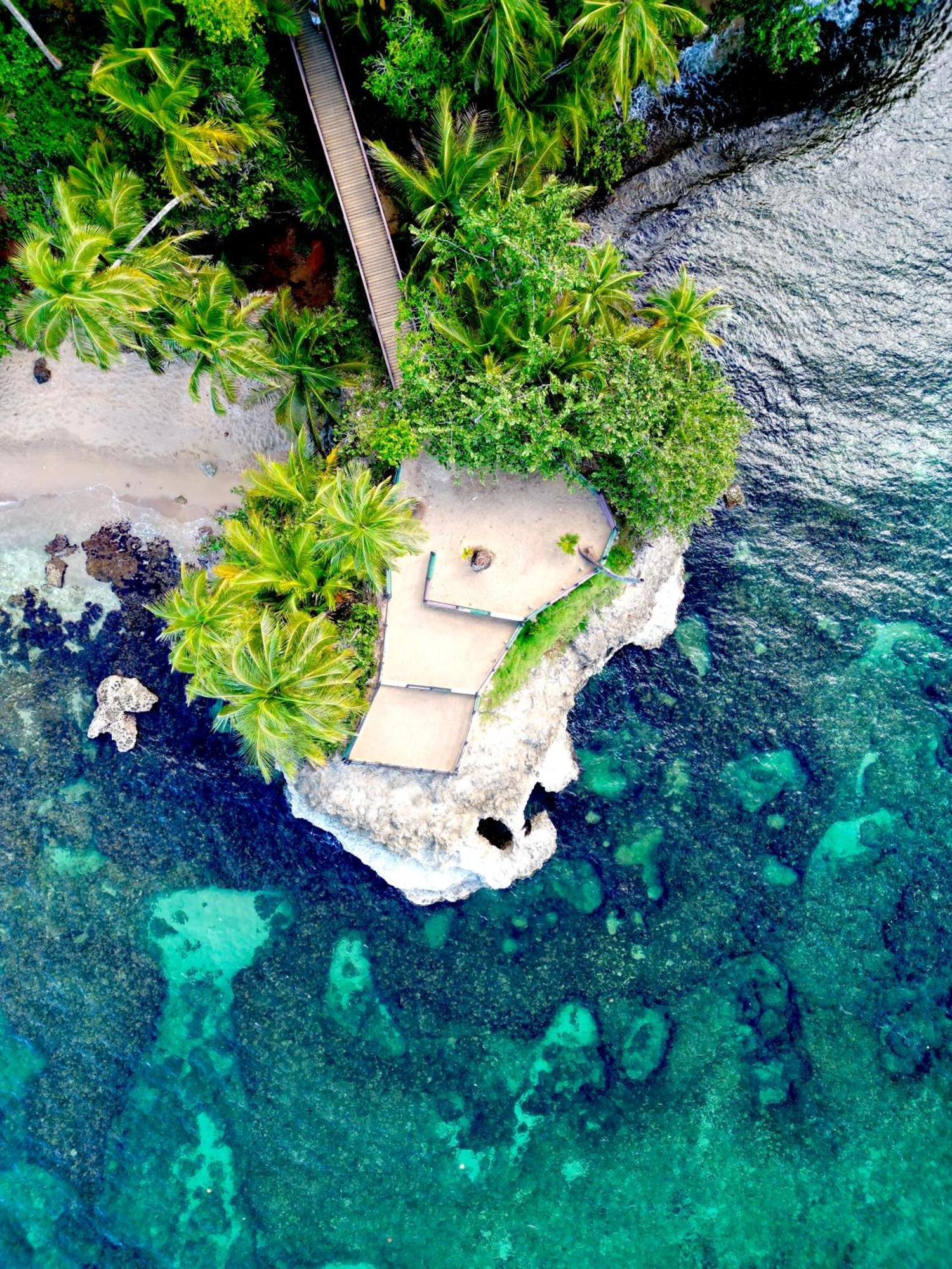 Oso Perezoso Pool Villa Puerto Viejo de Talamanca Εξωτερικό φωτογραφία
