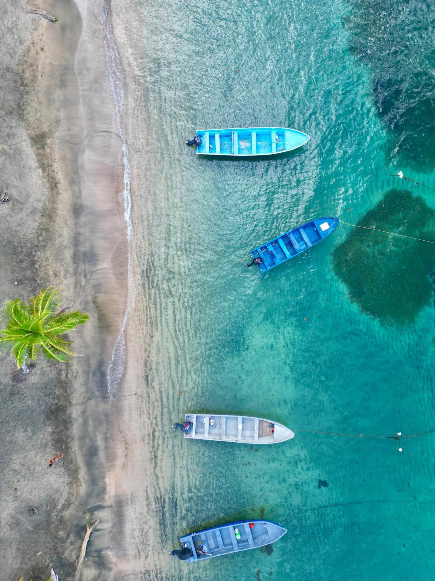 Oso Perezoso Pool Villa Puerto Viejo de Talamanca Εξωτερικό φωτογραφία
